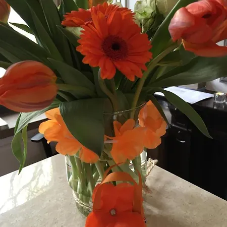 Ξενοδοχείο Clemens