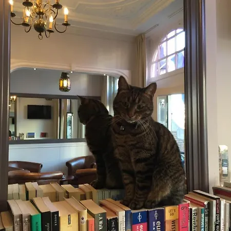 Ξενοδοχείο Clemens Άμστερνταμ