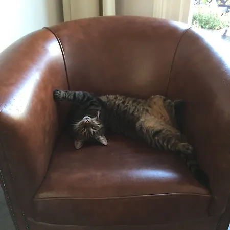 Ξενοδοχείο Clemens