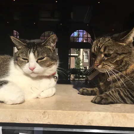 Ξενοδοχείο Clemens