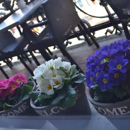 Ξενοδοχείο Clemens 3*