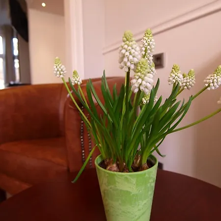 Clemens 3* Άμστερνταμ