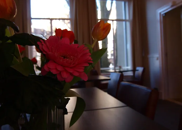 클레멘스 암스테르담