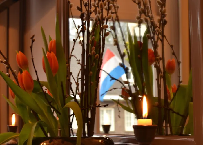 호텔 클레멘스 3*