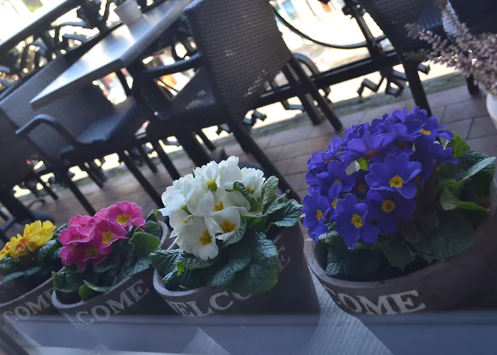 호텔 클레멘스 3*