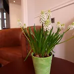 Clemens 3* Amesterdão