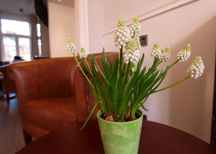 Clemens 3* Amsterdam